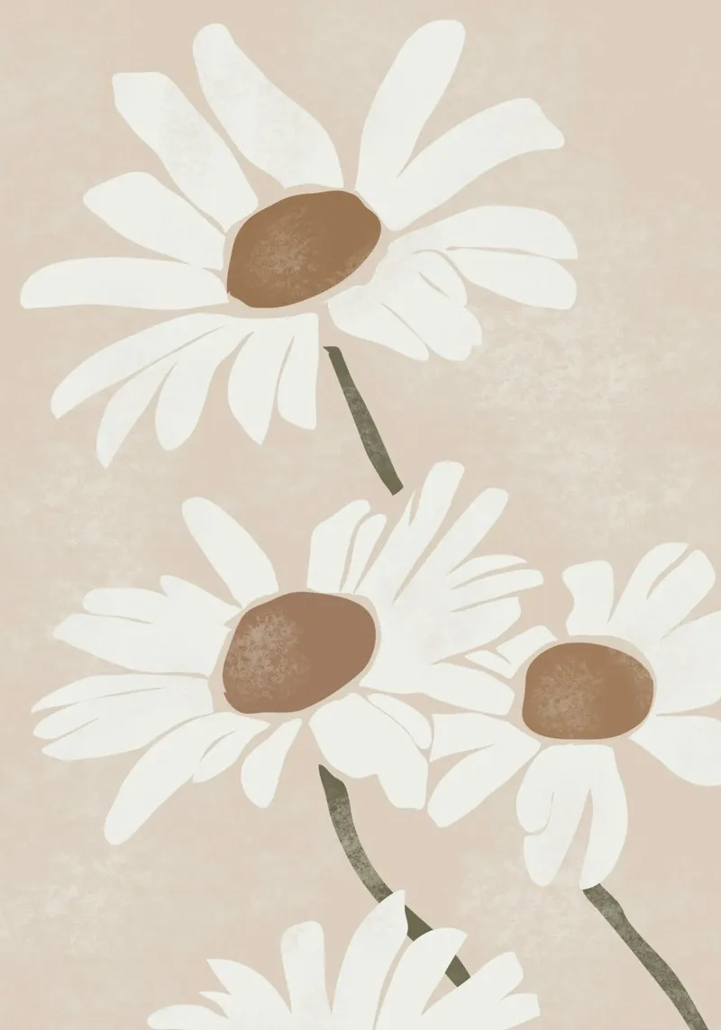 Margherite semplici poster con telaio in legno da LeaDArt