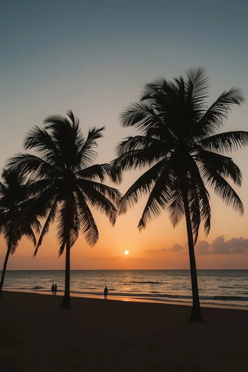 Palm Trees Silhouetted on Beach at Sunset canvas with Floater frame by DesignDoodle