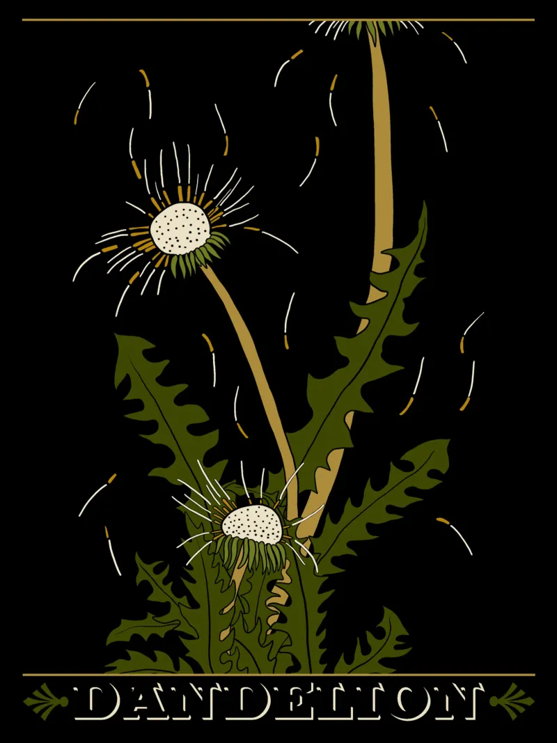 Dandelion seedheads poster da TijanaArtStudio88