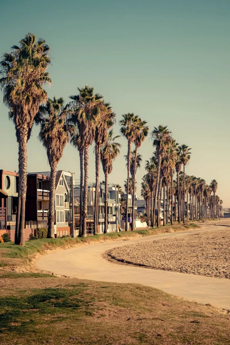 Passeggiata con palme sulla spiaggia di Venice Beach a Los Angeles poster con telaio in plastica da Finch & Frames