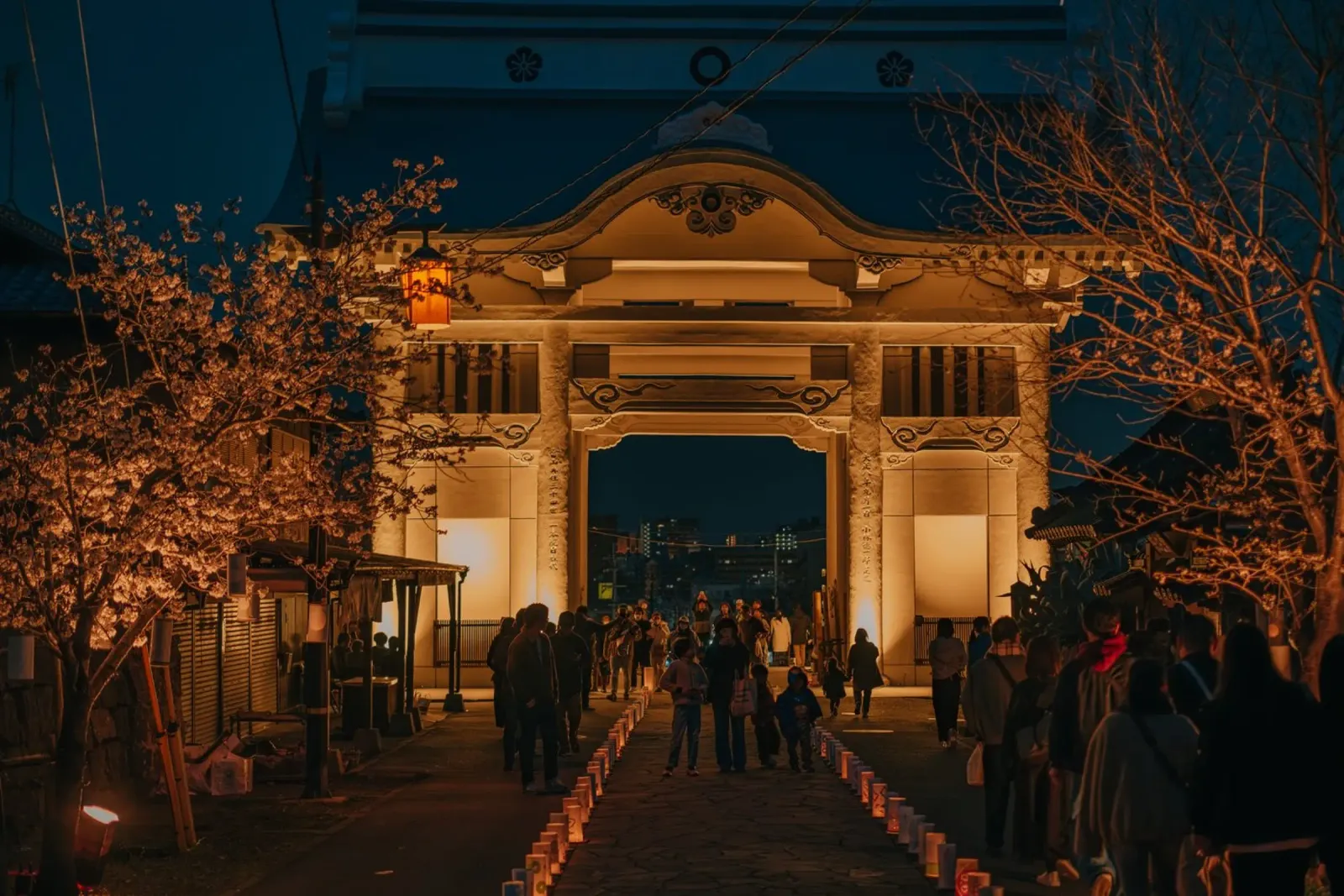 Tempio notturno dei ciliegi in fiore - Kumamoto, Giappone poster con telaio in alluminio da Marcel Bisig
