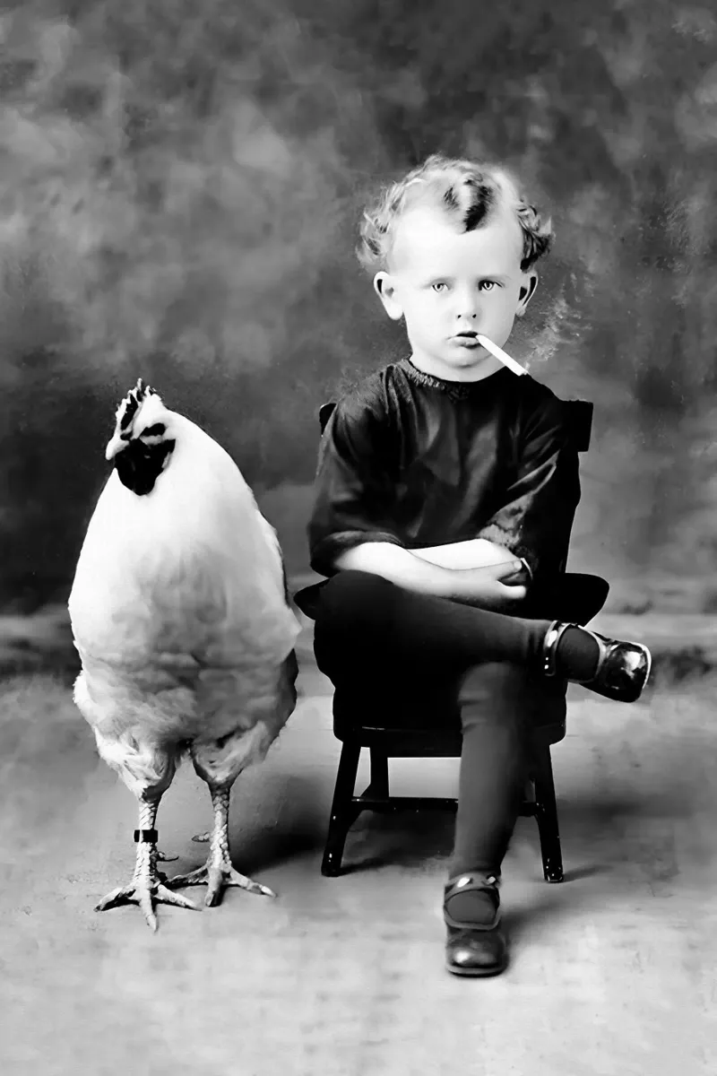 Garçon et poulet, drôle de photo ancienne en noir et blanc poster de Vibrant Vintage Prints