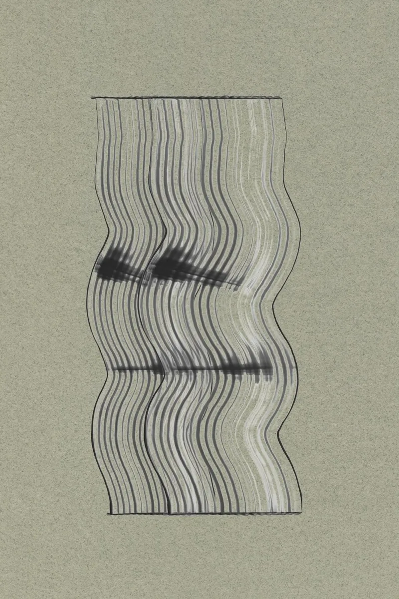 Grafico organico n. 2 plexiglass da The Miuus Studio