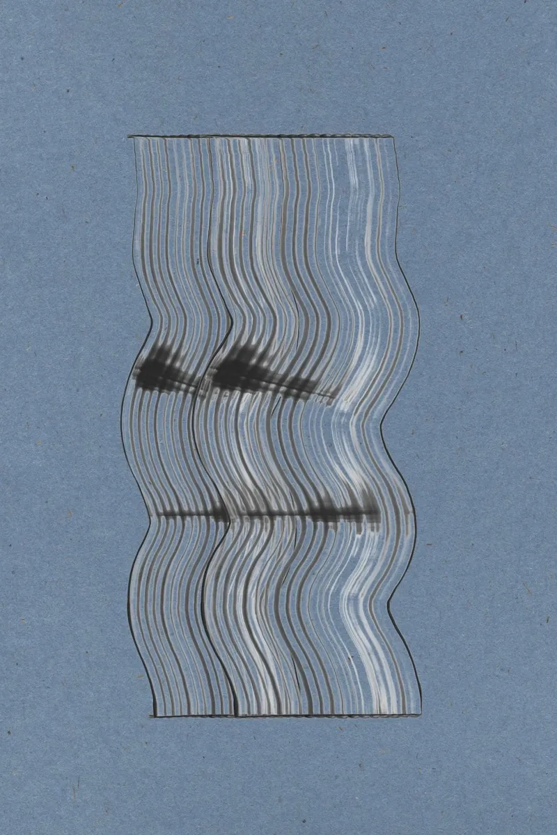Grafico organico n. 3 alluminio dibond da The Miuus Studio