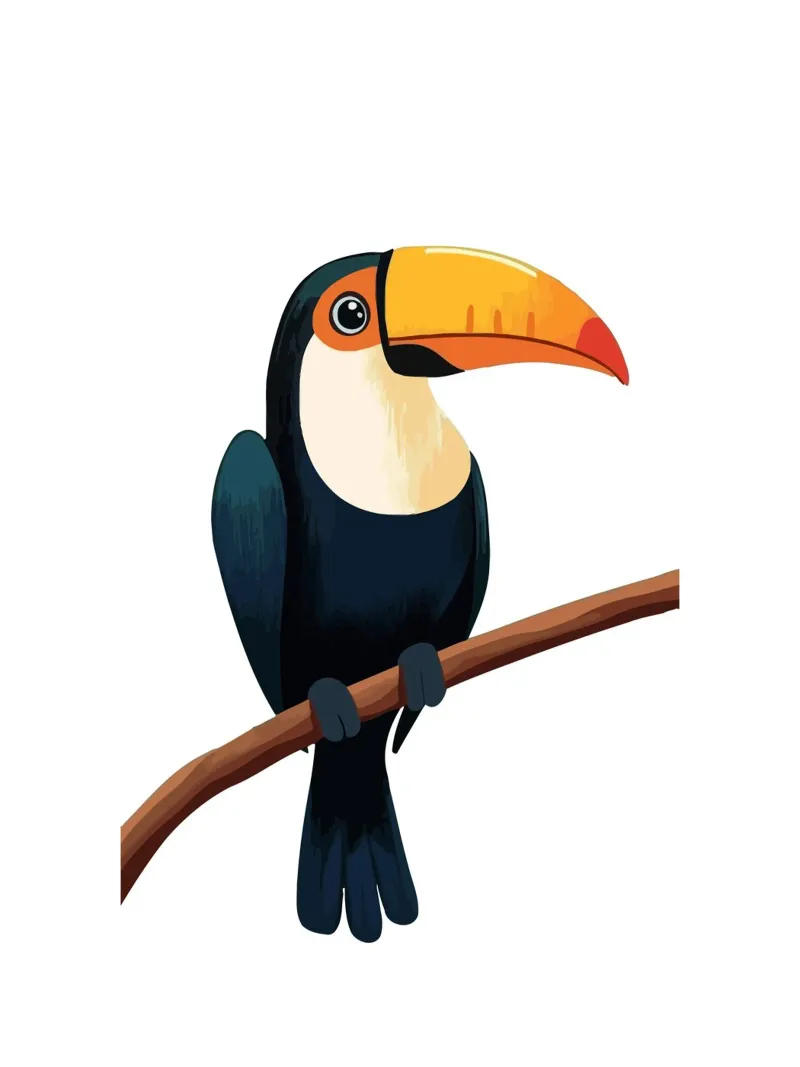 Toucan Bird poster con telaio in alluminio da Musadad Shop