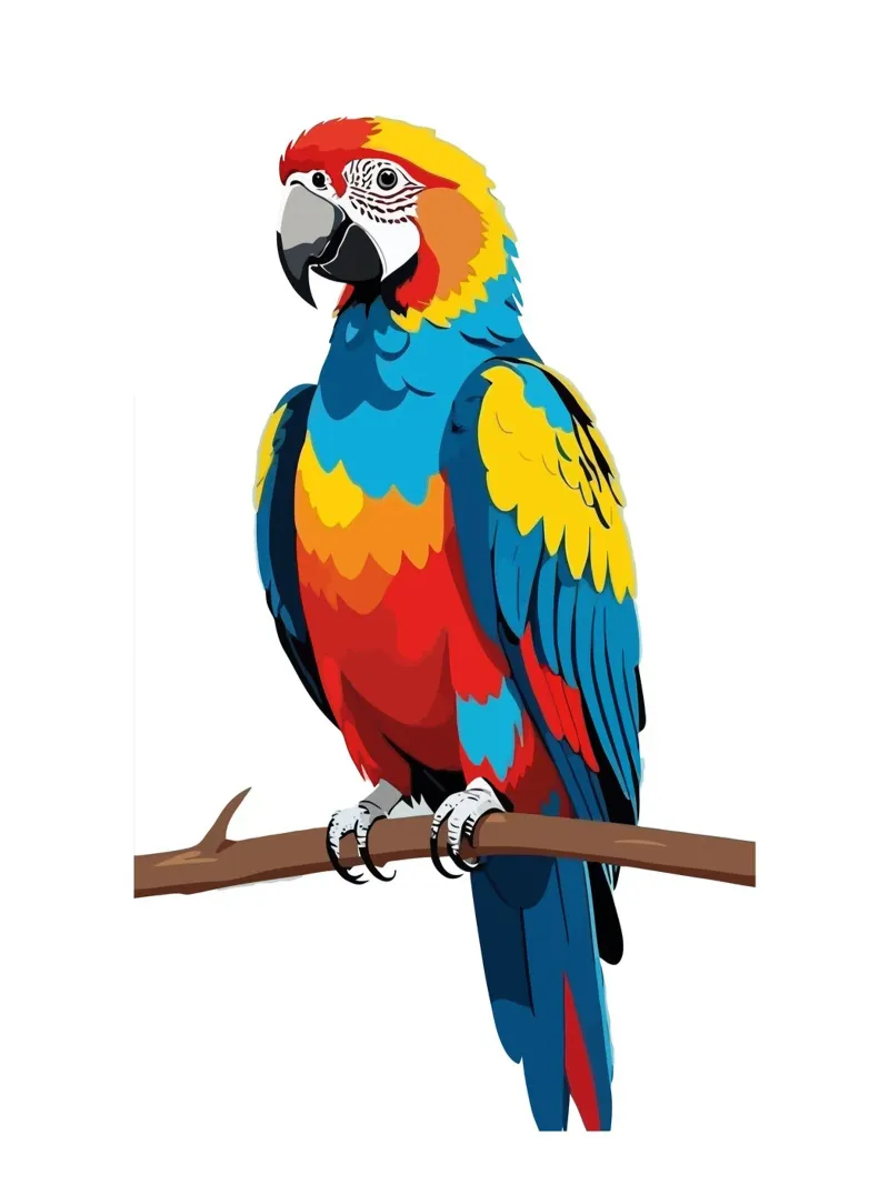 Parrot Colorful poster con telaio in alluminio da Musadad Shop