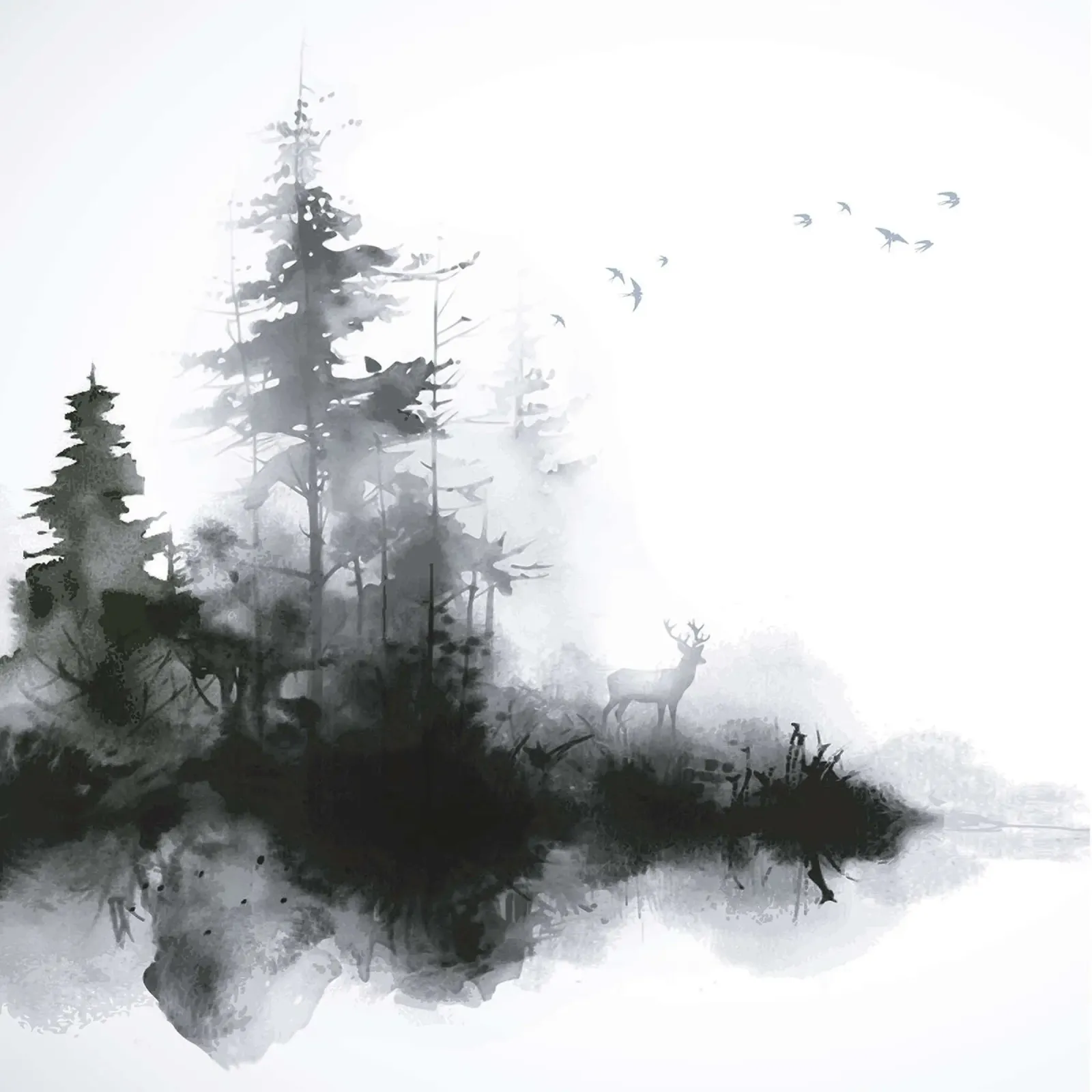 Atmosfera mattutina ai margini della foresta poster con telaio in plastica da June Jordan