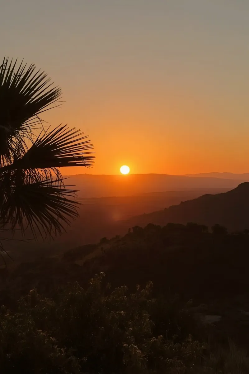 Zonsondergang over vallei met bergen en palmboom canvas met Baklijst van DesignDoodle