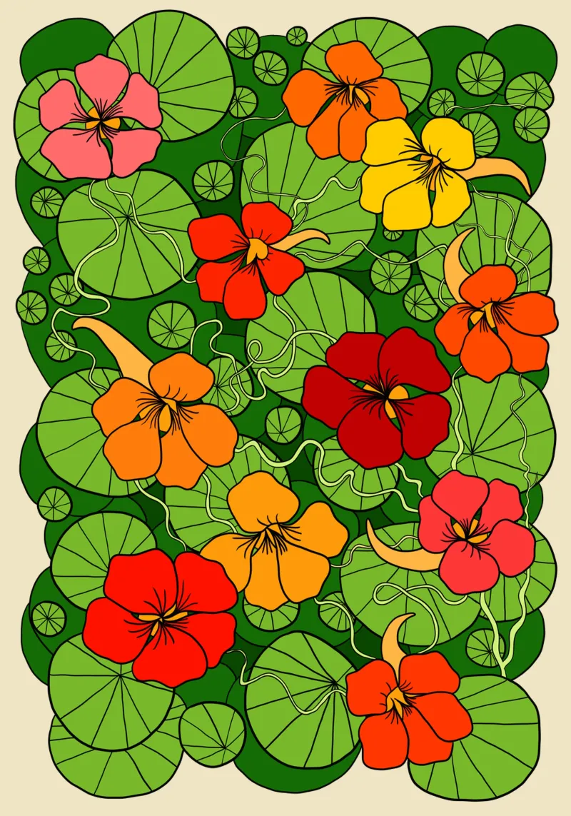 Vibrant colorful nasturtium flowers poster con telaio in legno da TijanaArtStudio88