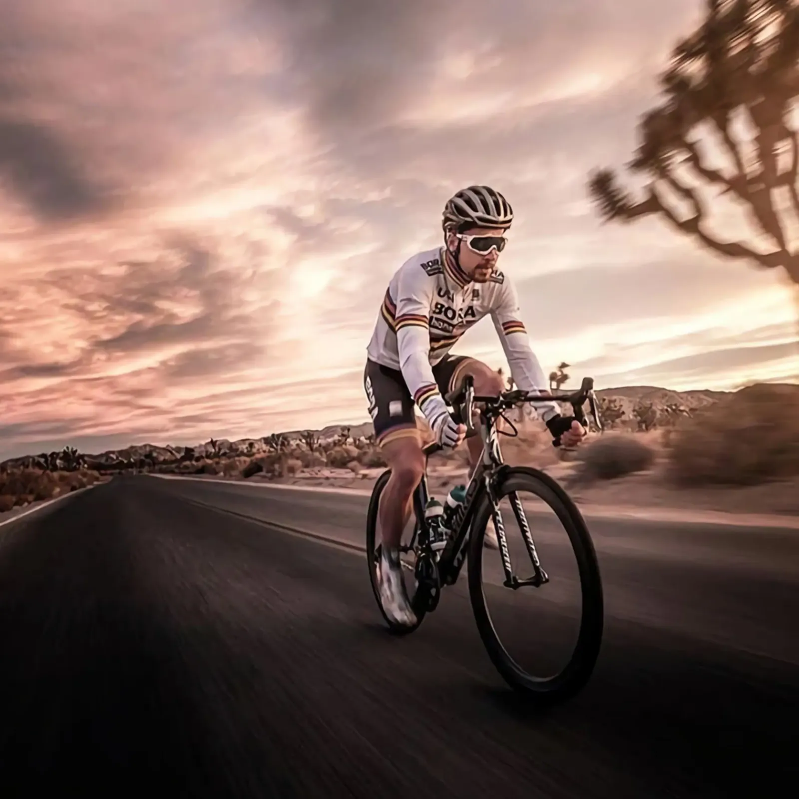 peter sagan, ciclista professionista su strada poster con telaio in plastica da addelia shope