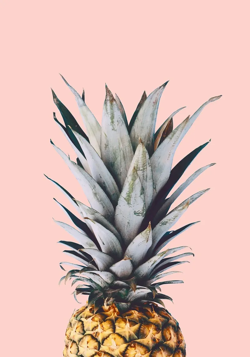 ananas frutto tropicale foglie appuntite botanica poster con telaio in alluminio da Patrick M Gerber