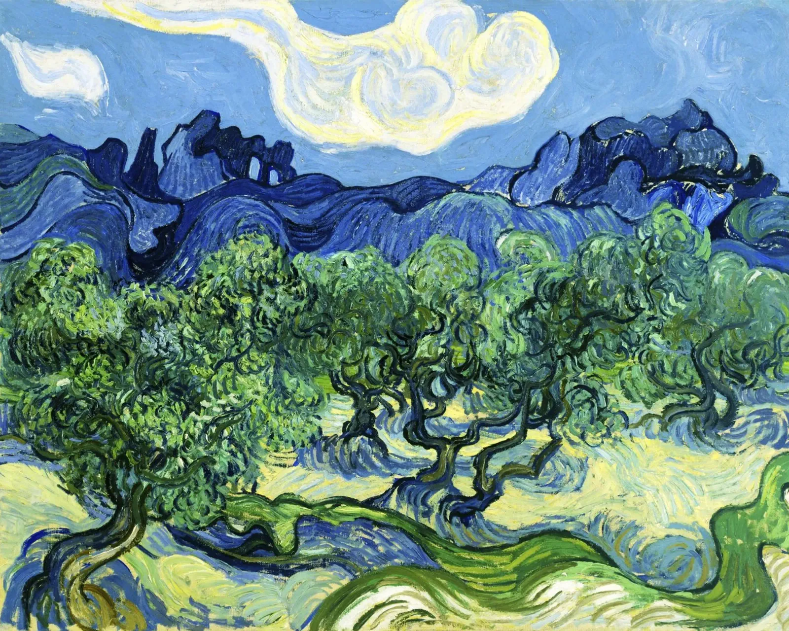 Olivos con los Alpilles al fondo por Vincent v poster con marco de madera de Classic Art Prints
