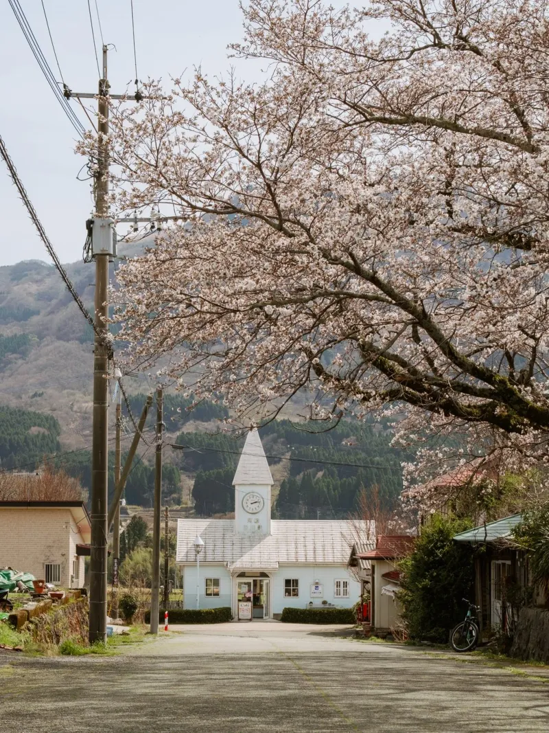 Stazione dei ciliegi in fiore in Giappone poster con telaio in legno da Marcel Bisig