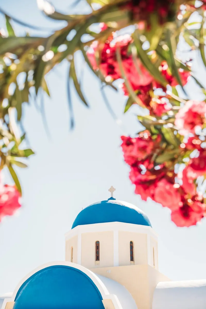Blaue und weiße Kirche in Santorini, rosa Bougainvillea Leinwand mit Schattenfugenrahmen von patiphotography