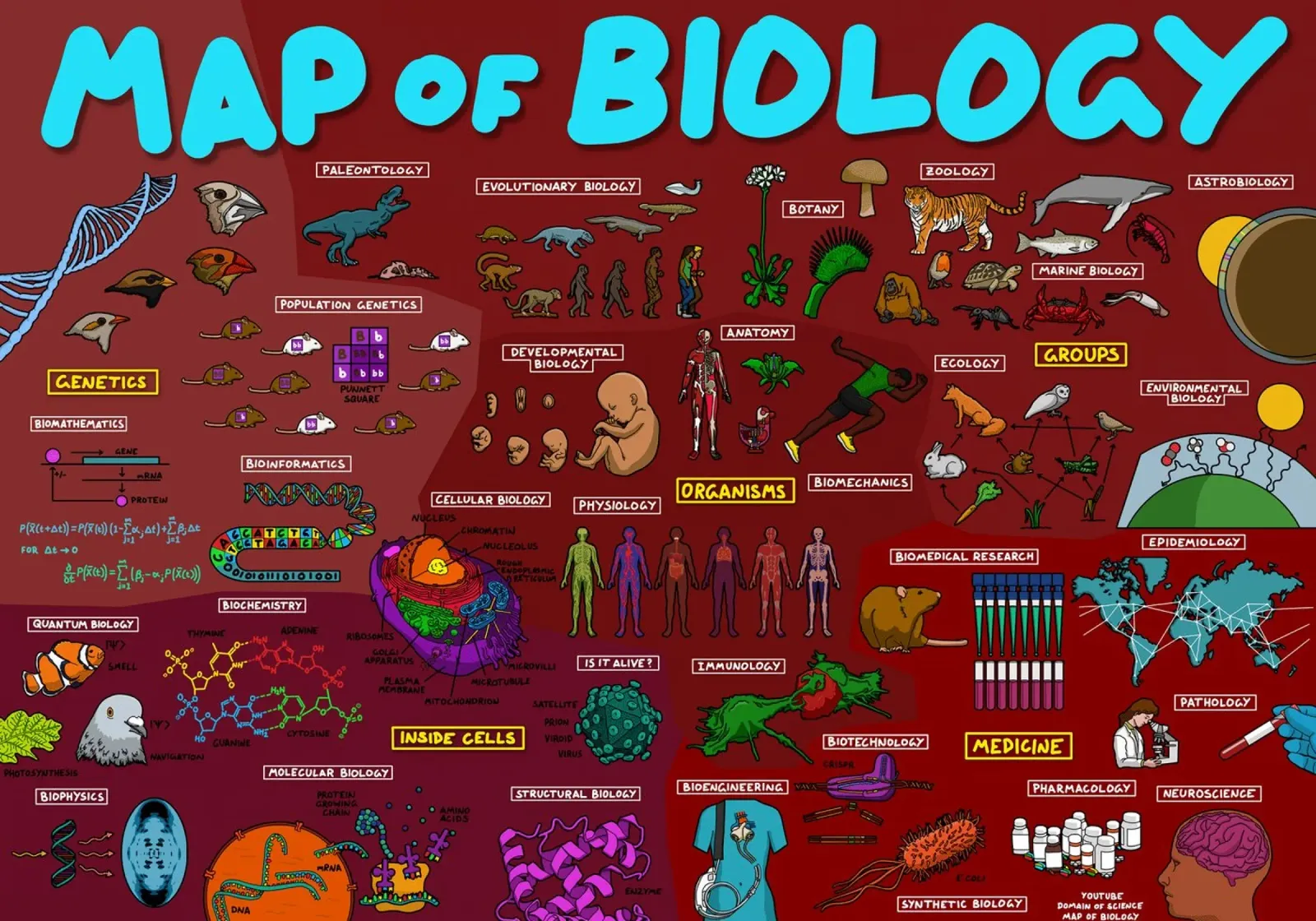 Mappa della biologia poster da Kathrin Fuhrman