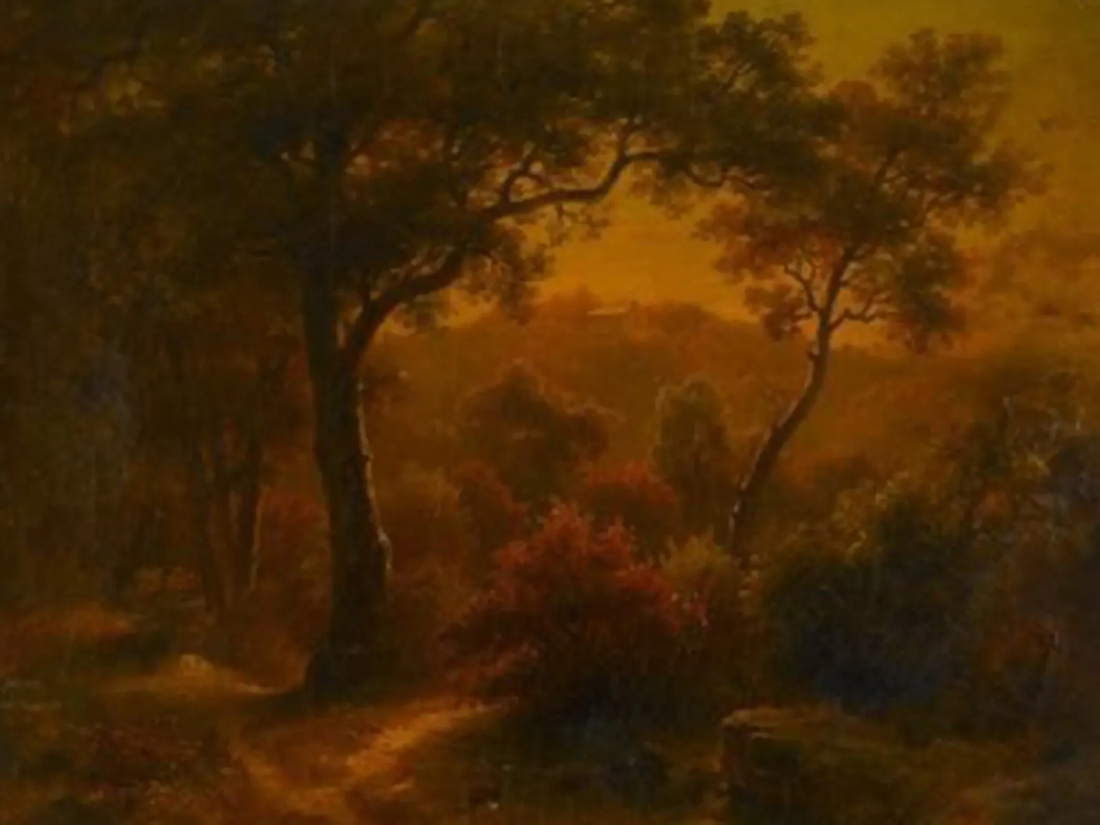 alberi che crescono bene poster da pleceng shope