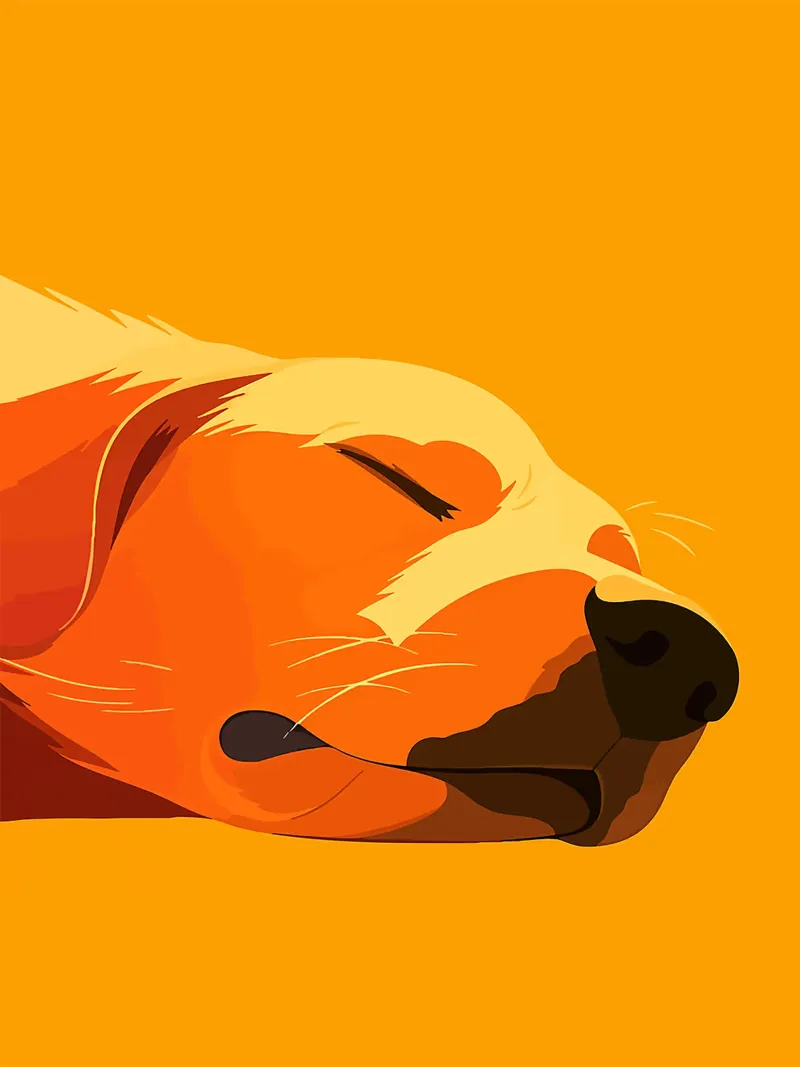 cane che dorme animale domestico faccia orecchie poster con telaio in legno da Lukas Hoffmann