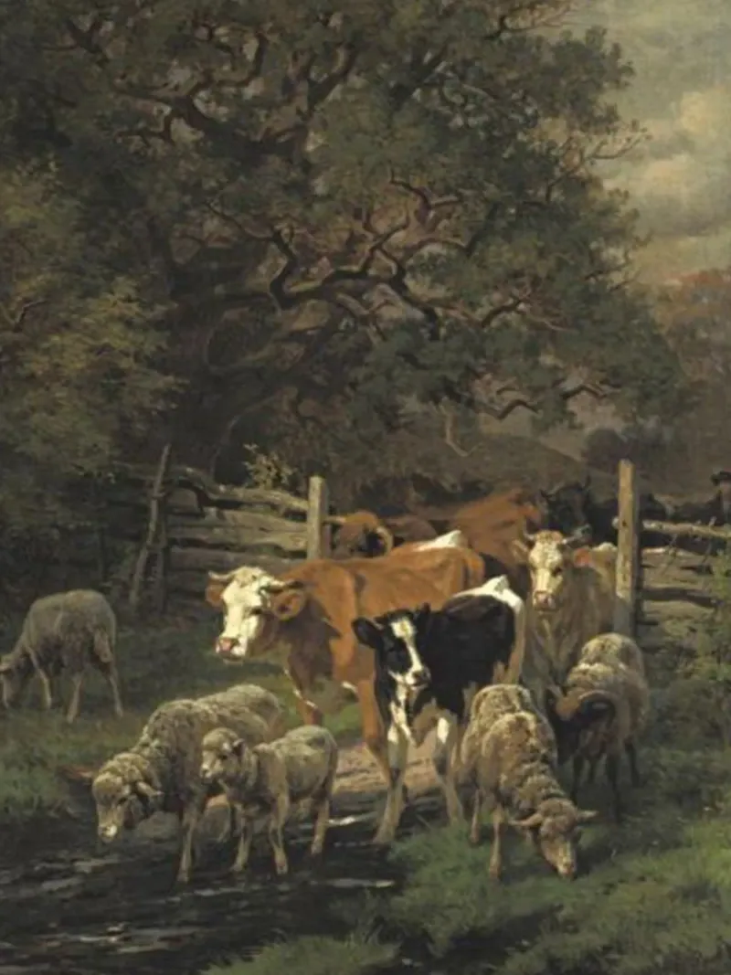 graasvee canvas met Baklijst van pleceng shope