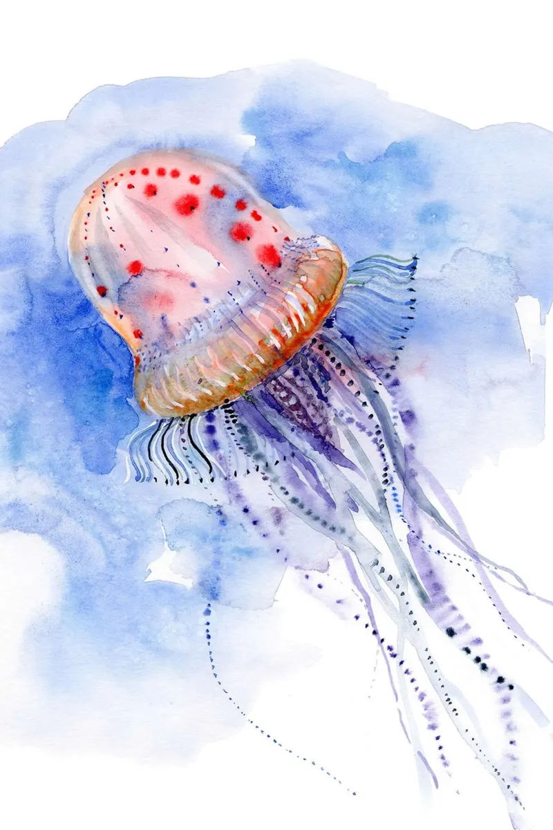 Meduse - immersioni in mare aperto poster con telaio in plastica da Norman Click