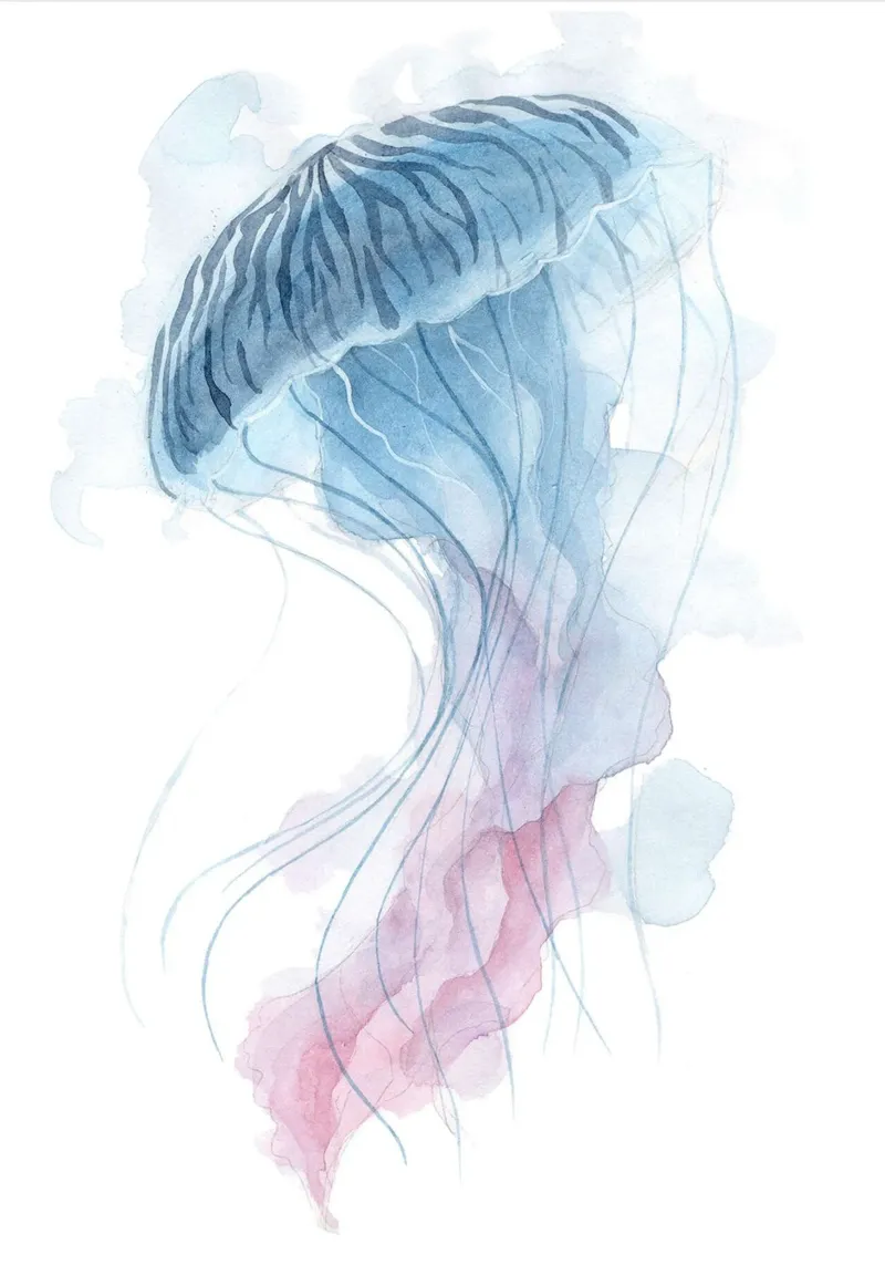 Meduse acquerellate poster con telaio in alluminio da Norman Click