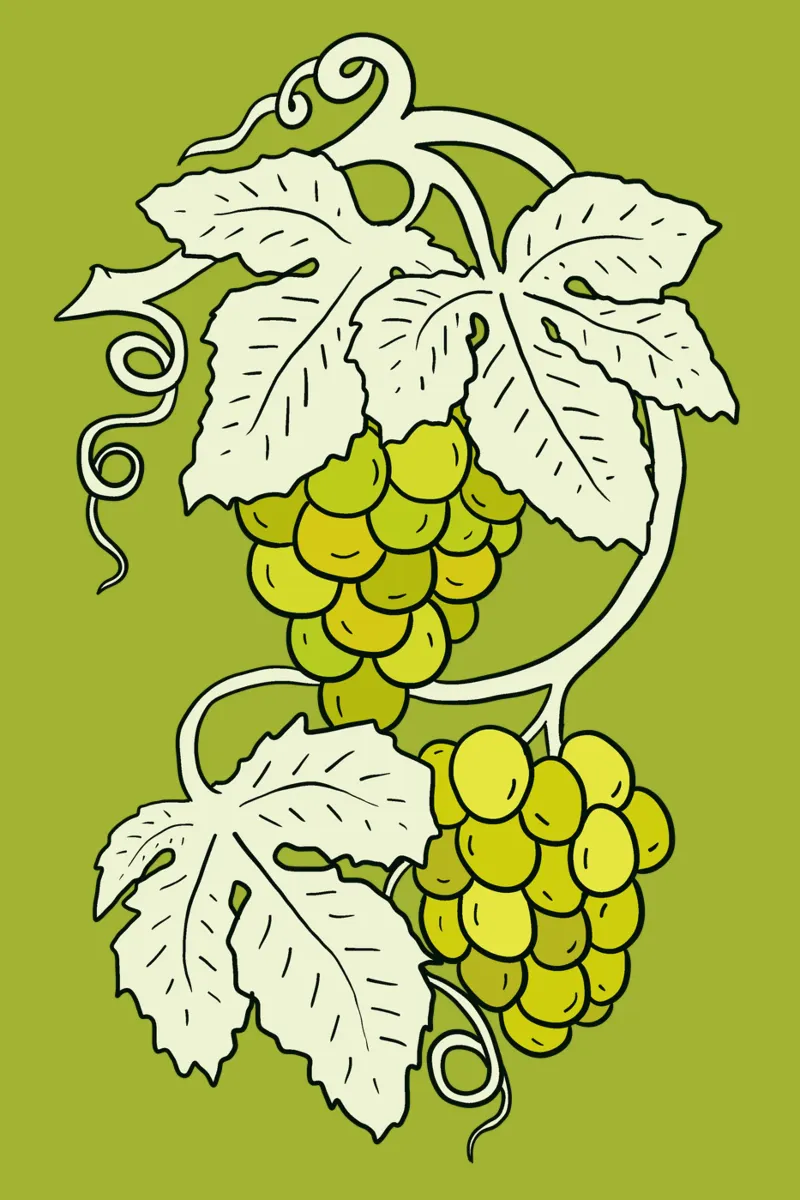 White grapes with light leaves poster con telaio in legno da TijanaArtStudio88
