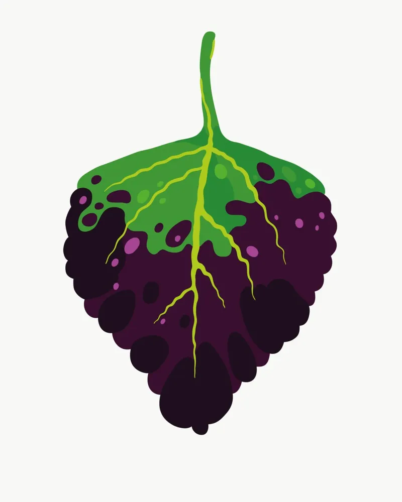 Dipped In Wine Coleus poster da Lidia Blomgren