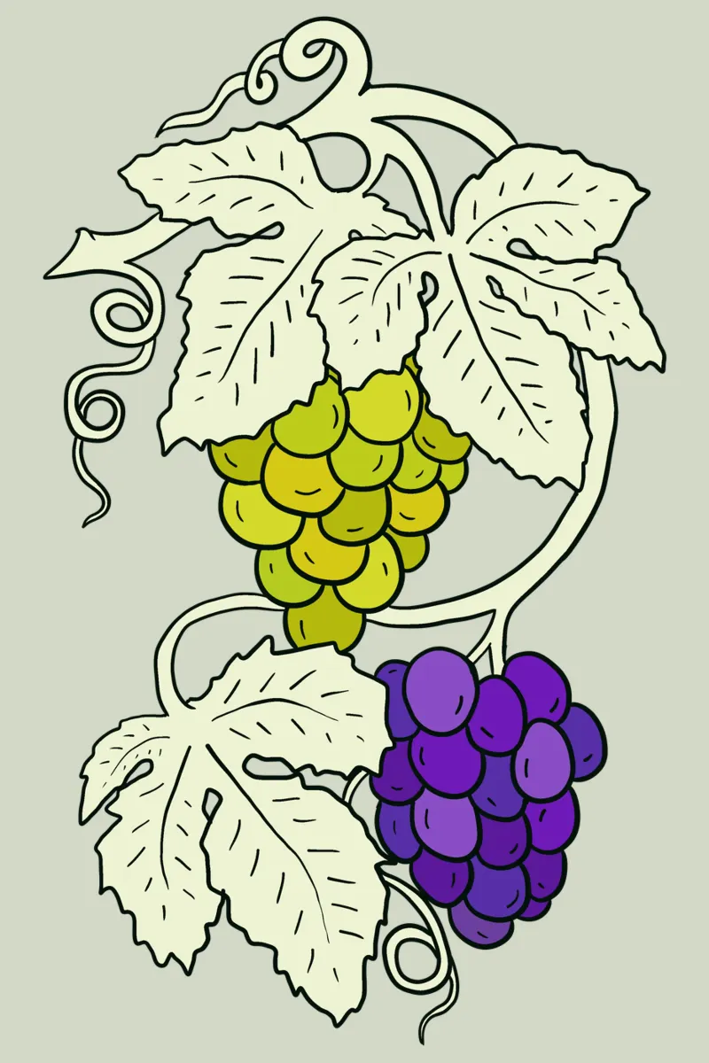 White and black grapes poster da TijanaArtStudio88