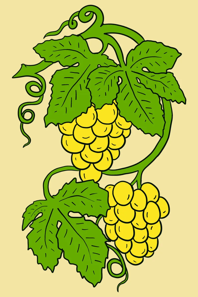 White grapes poster con telaio in alluminio da TijanaArtStudio88