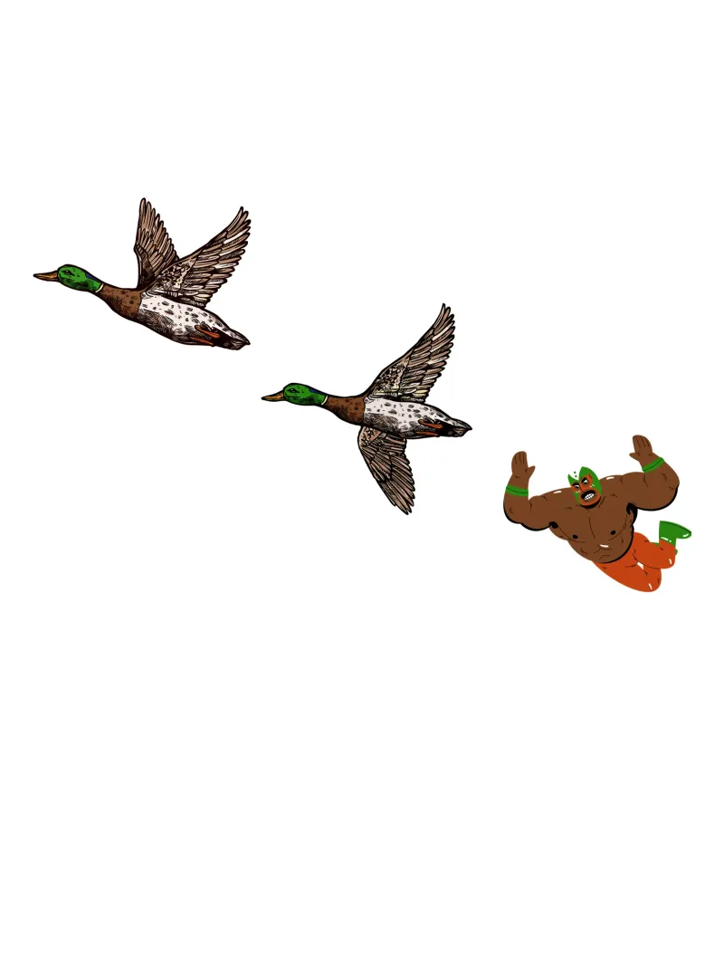 High Flyer - Duck Luchador poster con telaio in plastica da Melty Shirts