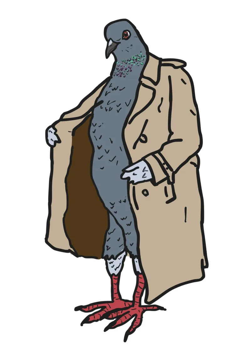 Pigeon Flasher poster con telaio in alluminio da Melty Shirts