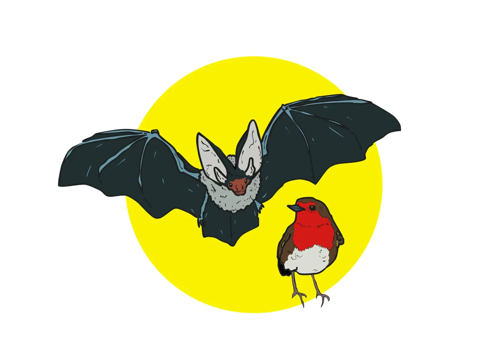 Flying Bat and a Robin poster con telaio in legno da Melty Shirts