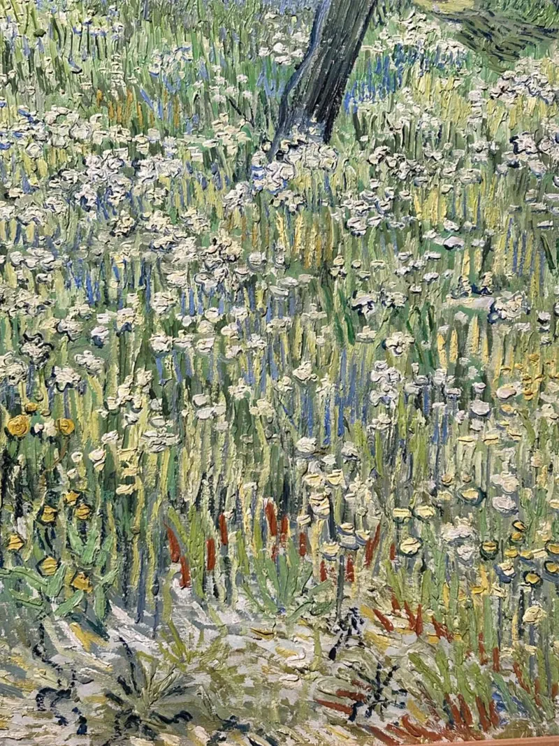 vasti campi verdi, pieni di fiori gialli poster con telaio in alluminio da Piper Shop Oke