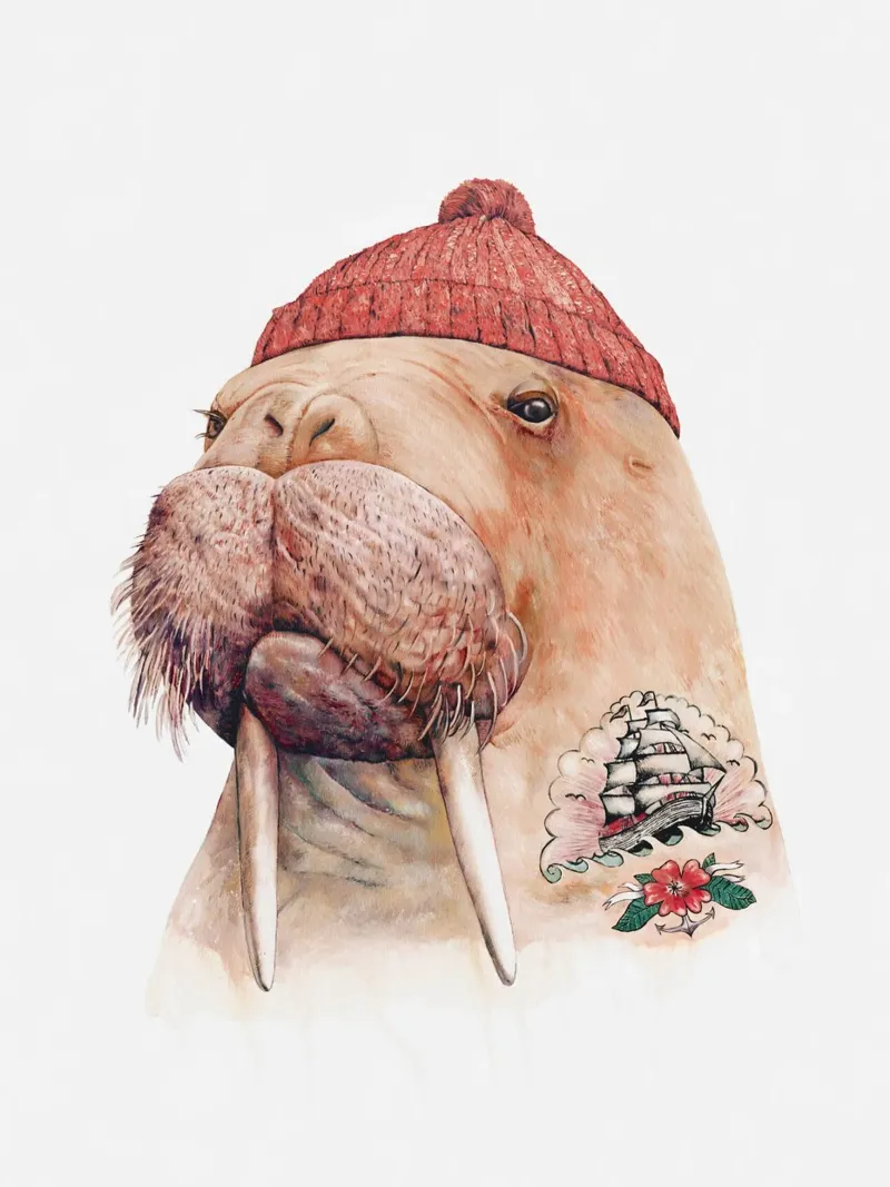 Tricheco tatuato - Cappuccio rosso poster con telaio in plastica da Animal Crew