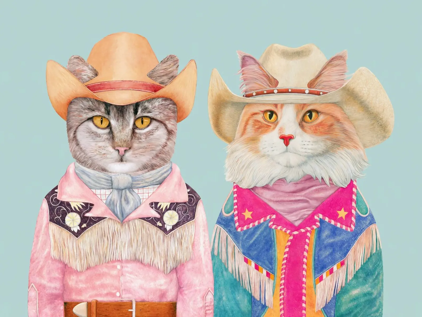 Gatti Rodeo - Tabby e Ginger poster con telaio in alluminio da Animal Crew