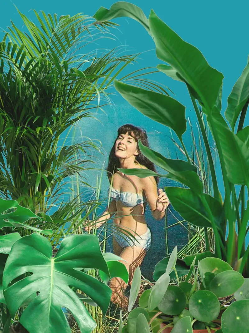 Jane of the Jungle poster con telaio in alluminio da MsGonzalez