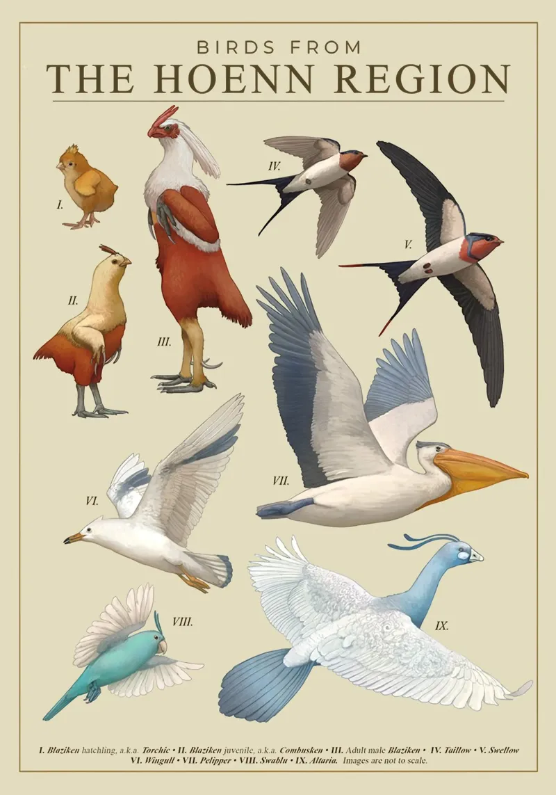 Uccelli della regione di Hoenn poster da Katrin Ack
