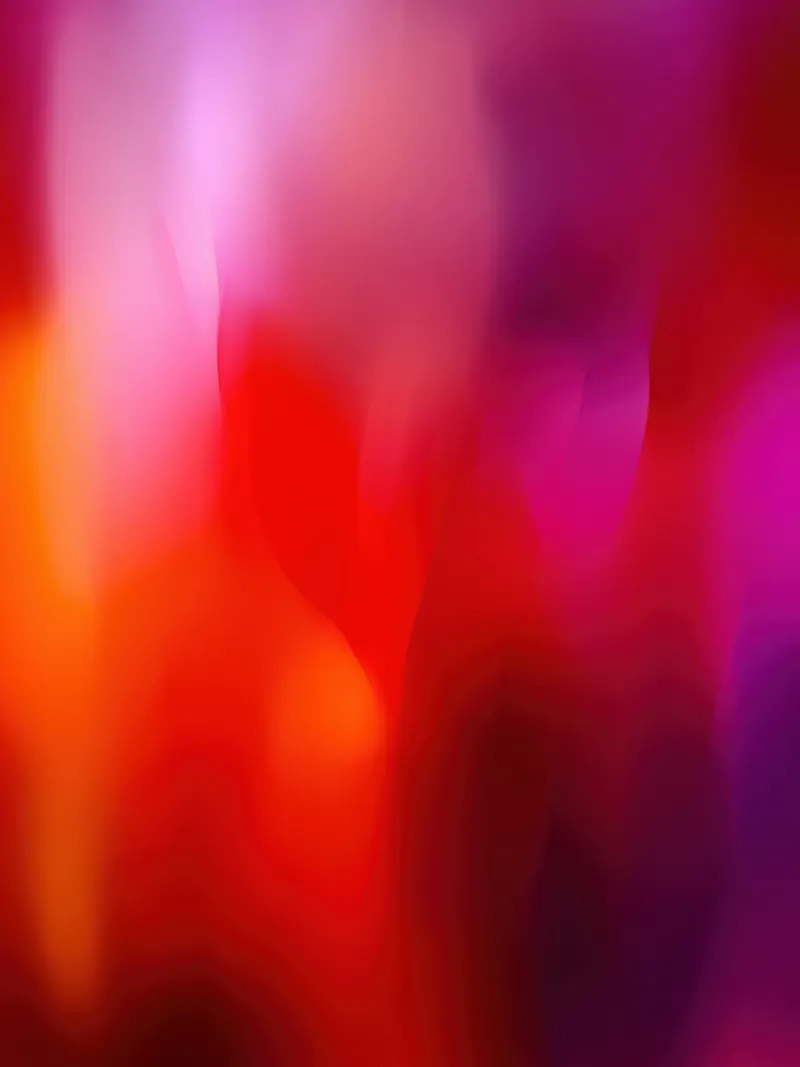 Ebbrezza da tulipano | Sinfonia di colori in arancio-rosso-magenta tela con Cornice a cassetta da Autofocus