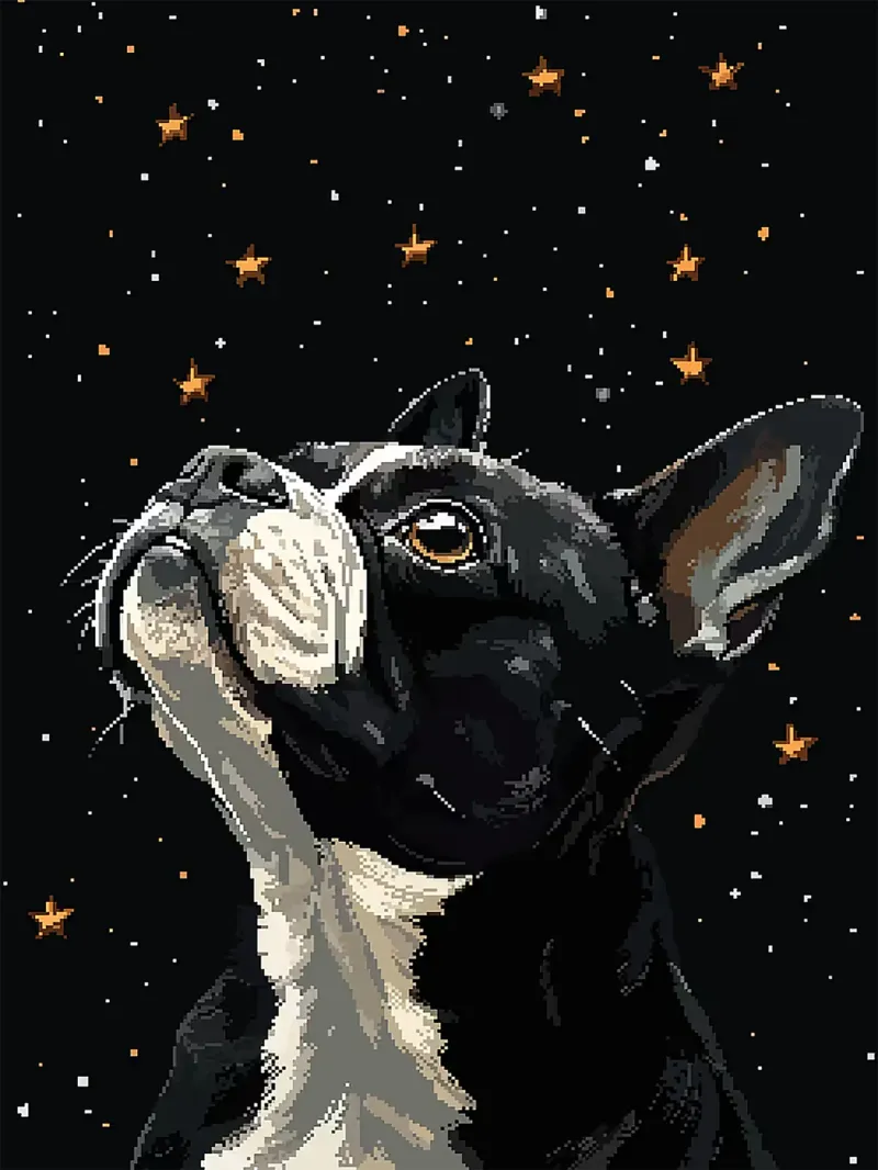 Pixel cane stelle notte bianco e nero poster con telaio in alluminio da Karin M Fried