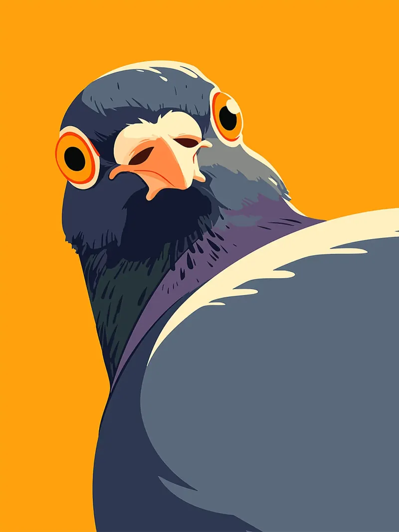piccione uccello piume occhio becco arancione poster con telaio in plastica da Franziska Richter