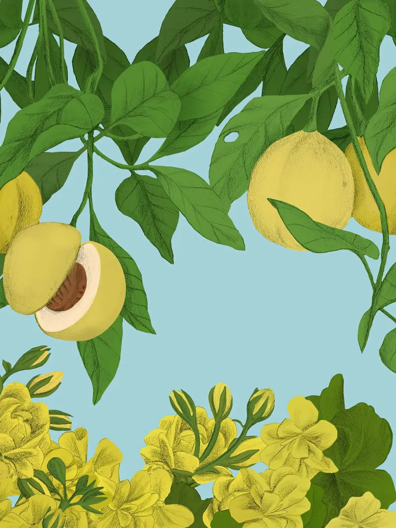 Foglie e fiori - Silja Goetz poster con telaio in alluminio da Monillustrations