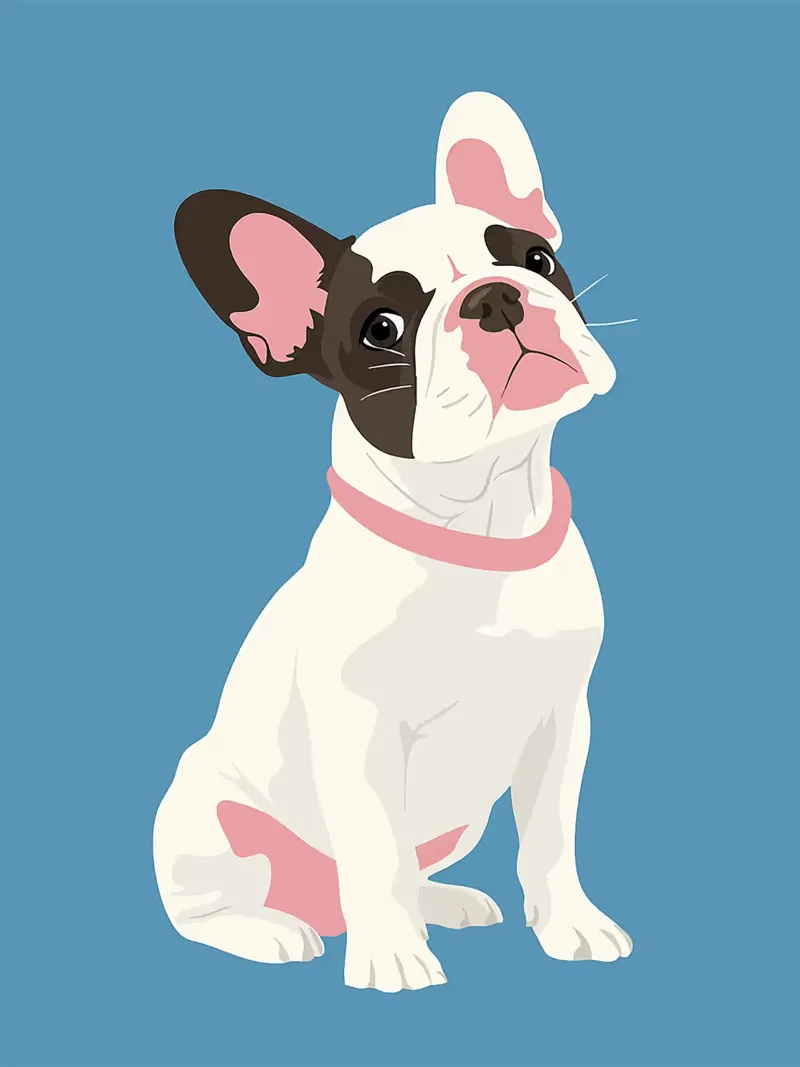 cane bulldog francese cartone animato animale poster con telaio in alluminio da Franziska Richter