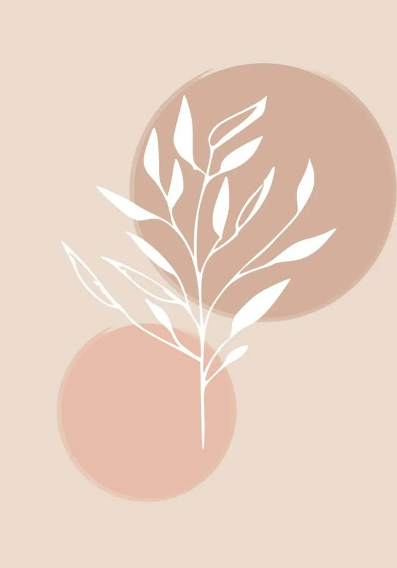 branch silhouette white abstract pink poster con telaio in legno da vintageshop