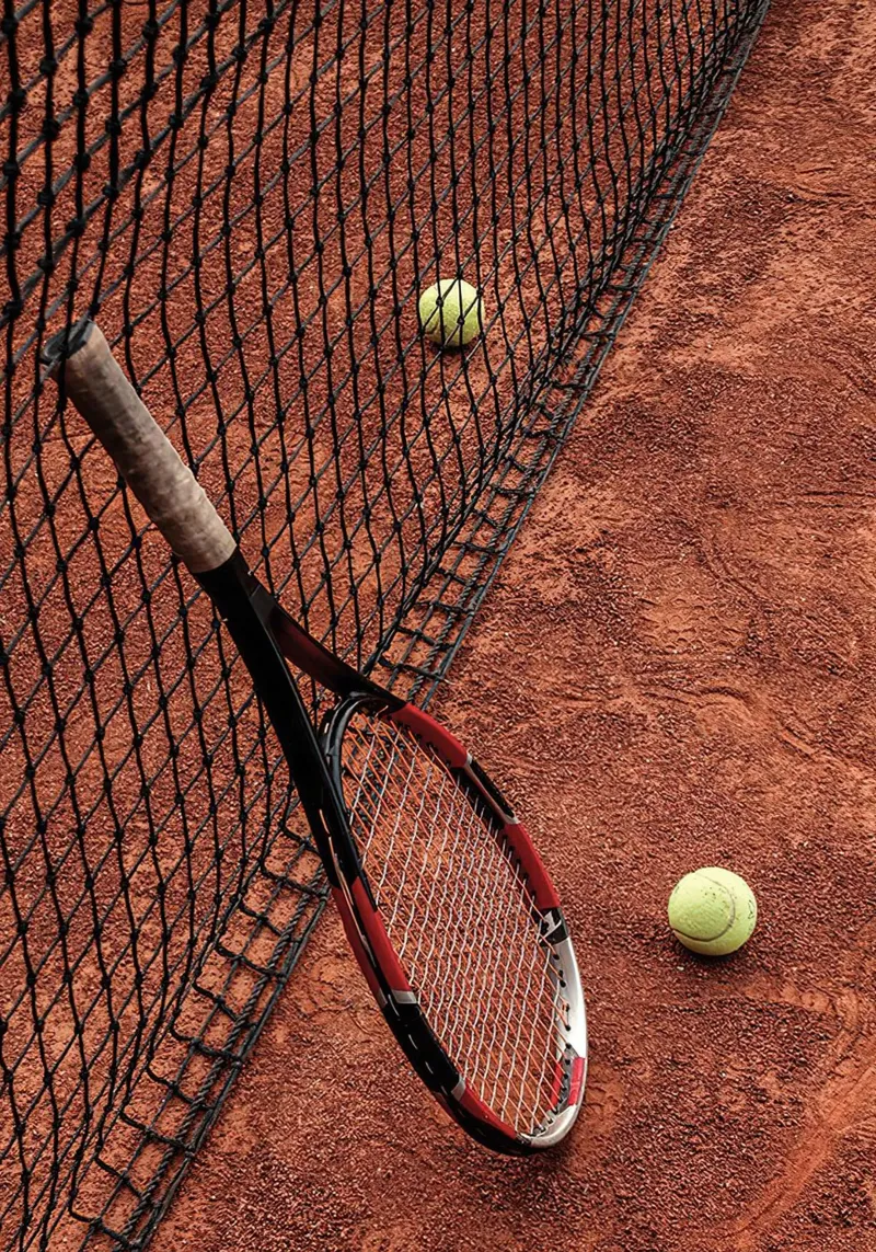 Racchetta e campo da tennis poster da World of Pearce