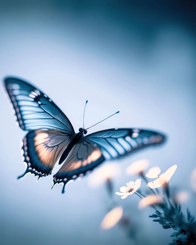Blue Butterfly Poster von treechild