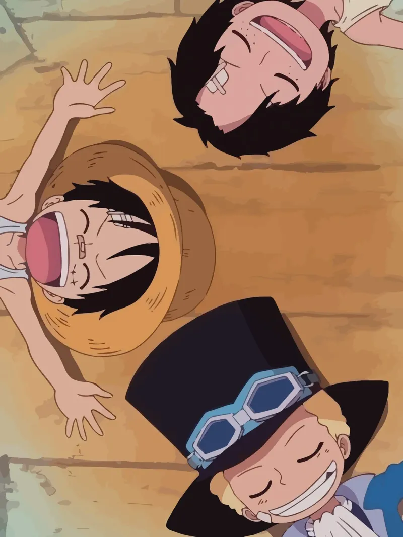 Luffy, Ace and Sabo One Piece tela con Cornice a cassetta da Dumery Art
