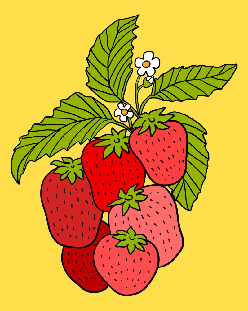 Yummy strawberries canvas met Baklijst van TijanaArtStudio88