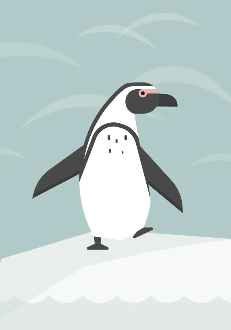 Pinguïn dans canvas met Baklijst van Carolin Vonhoff