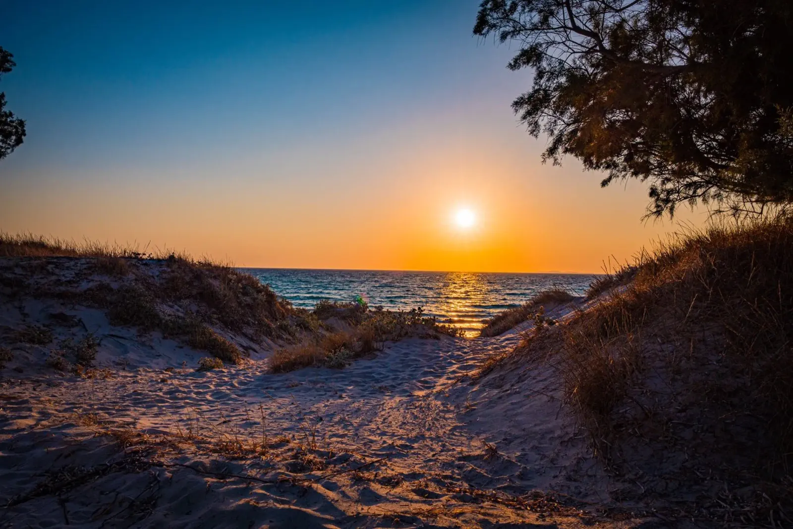 Tramonto pellicola backlit da Marcus Beckert | Fotografie