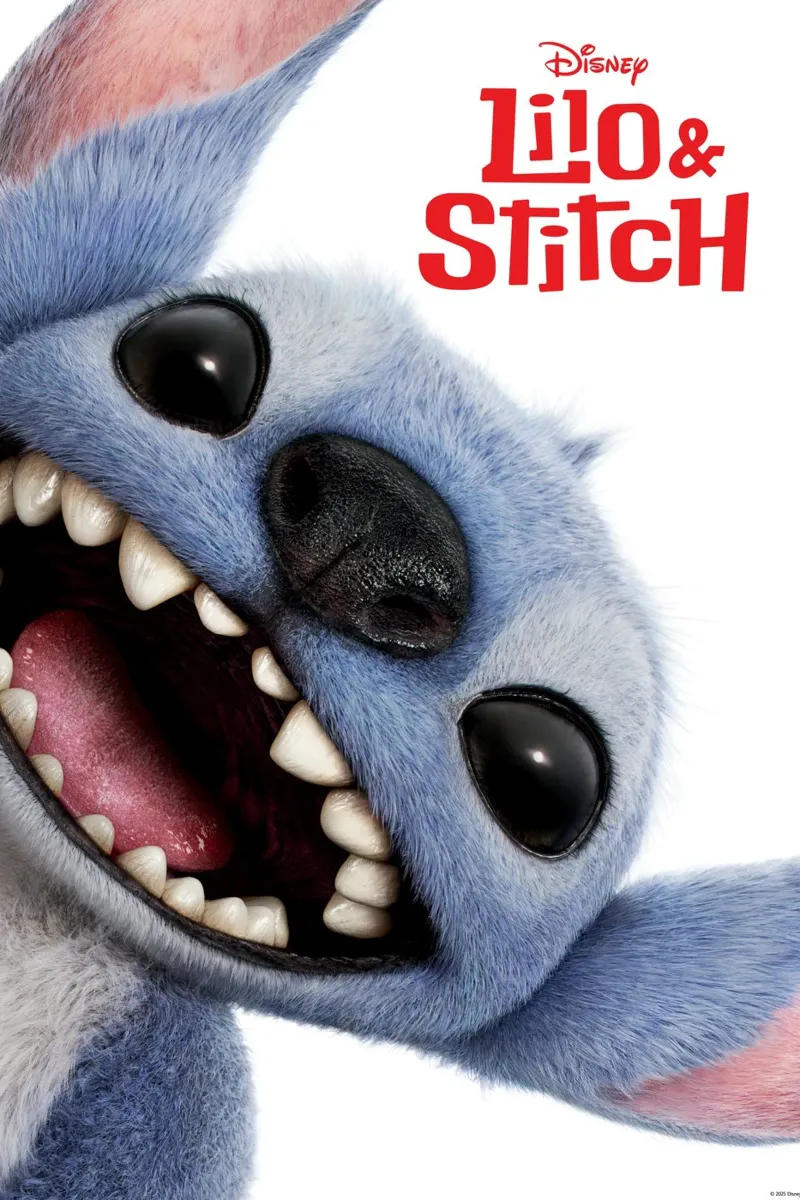 Disney Lilo & Stitch poster con telaio in legno da Stitch