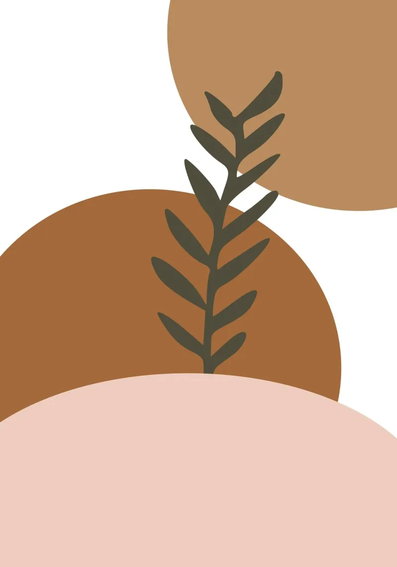 minimalist leaf and half circles poster con telaio in legno da vintageshop